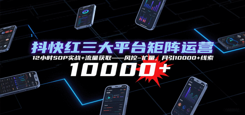 抖快红三大平台矩阵运营,12小时SOP实战+流量获取-风控-扩量,月引10000+线索跨境课程-外贸教程-精品网课-电商运营课库课堂