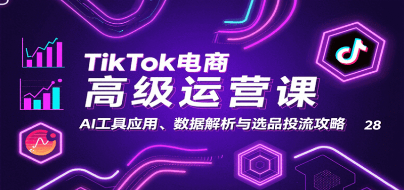 TikTok电商高级运营课：AI工具应用、数据解析与选品投流攻略跨境课程-外贸教程-精品网课-电商运营课库课堂