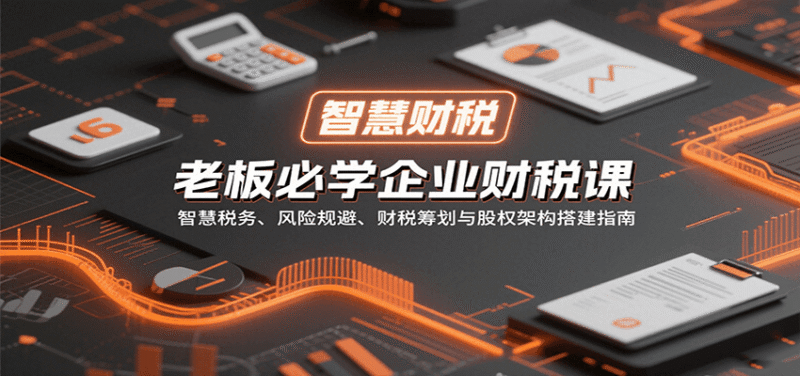 老板必学企业财税课:智慧税务、风险规避、财税筹划与股权架构搭建指南跨境课程-外贸教程-精品网课-电商运营课库课堂