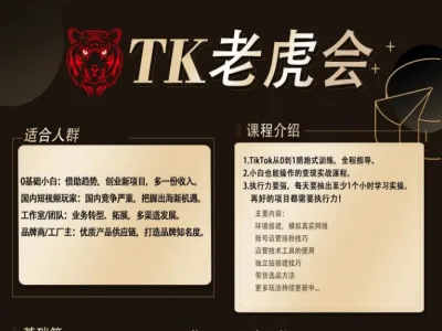 TK老虎会跨境Tiktok：运营与变现实战指南跨境课程-外贸教程-精品网课-电商运营课库课堂