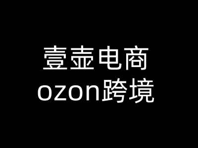 壹壶电商：小张同学Ozon俄罗斯电商平台运营实战课：从0到1掌握选品、物流与店铺精细化运营跨境课程-外贸教程-精品网课-电商运营课库课堂
