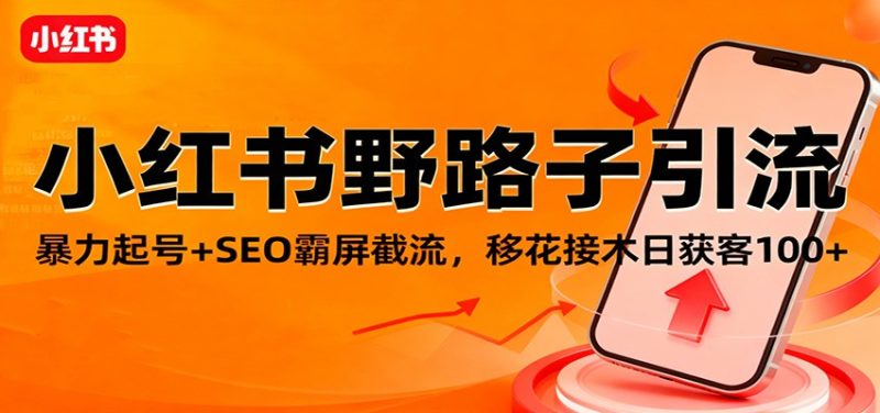 小红书野路子引流，暴力起号+SEO霸屏截流，移花接木日获客100+跨境课程-外贸教程-精品网课-电商运营课库课堂