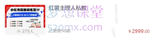 红薯主理人私教，小红书陪陪训练营跨境课程-外贸教程-精品网课-电商运营课库课堂
