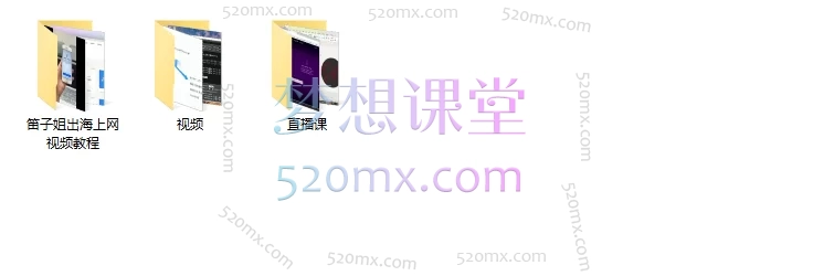 图片[3]跨境课程-外贸教程-精品网课-电商运营TikTok AI+出海短视频项目孵化：从0-1掌握AI原创带货与全球运营跨境课程-外贸教程-精品网课-电商运营课库课堂