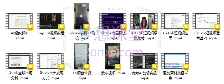 图片[5]跨境课程-外贸教程-精品网课-电商运营TikTok AI+出海短视频项目孵化：从0-1掌握AI原创带货与全球运营跨境课程-外贸教程-精品网课-电商运营课库课堂