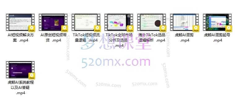 图片[6]跨境课程-外贸教程-精品网课-电商运营TikTok AI+出海短视频项目孵化：从0-1掌握AI原创带货与全球运营跨境课程-外贸教程-精品网课-电商运营课库课堂