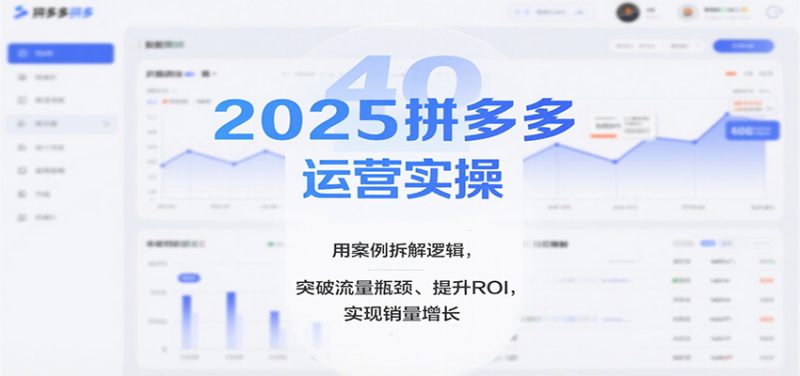 2025拼多多运营实操,用案例拆解逻辑,突破流量瓶颈、提升ROI,实现销量增长跨境课程-外贸教程-精品网课-电商运营课库课堂