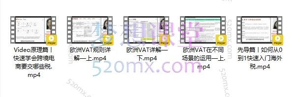 图片[3]跨境课程-外贸教程-精品网课-电商运营小红书国际税Elaine丨从0到1入门跨境电商财税，欧洲VAT、美国sales tax跨境课程-外贸教程-精品网课-电商运营课库课堂