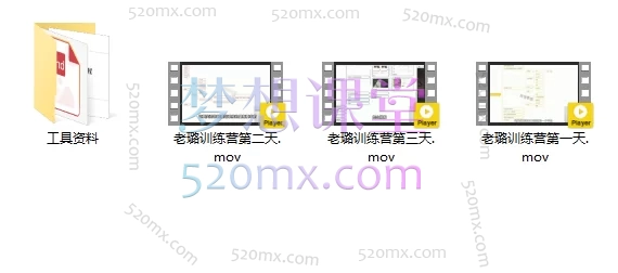 图片[4]跨境课程-外贸教程-精品网课-电商运营2025跨境老璐：跑通【独立站0-1】独立站电光顿悟训练营跨境课程-外贸教程-精品网课-电商运营课库课堂