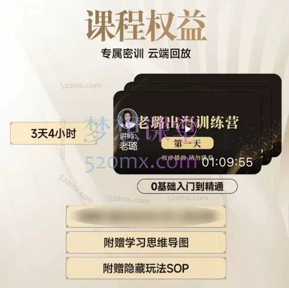 图片[6]跨境课程-外贸教程-精品网课-电商运营2025跨境老璐：跑通【独立站0-1】独立站电光顿悟训练营跨境课程-外贸教程-精品网课-电商运营课库课堂