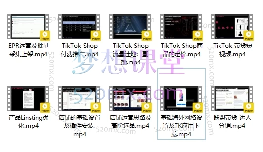 图片[3]跨境课程-外贸教程-精品网课-电商运营2025跨境深蓝海TikTok Shop 系统班 04.16期：一站式掌握 TikTok 电商运营实战技能跨境课程-外贸教程-精品网课-电商运营课库课堂