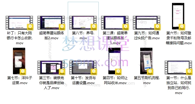 图片[3]跨境课程-外贸教程-精品网课-电商运营雌鹰女人BB姐的网站运营课，建站、引流、收款一站式精讲跨境课程-外贸教程-精品网课-电商运营课库课堂