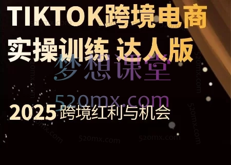 Tiktok技能培训实操课：从零到精通运营与变现跨境课程-外贸教程-精品网课-电商运营课库课堂