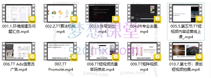 图片[3]跨境课程-外贸教程-精品网课-电商运营Tiktok技能培训实操课：从零到精通运营与变现跨境课程-外贸教程-精品网课-电商运营课库课堂
