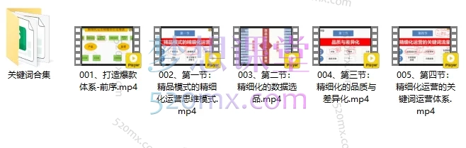 图片[2]跨境课程-外贸教程-精品网课-电商运营董海温亚马逊精细化运营•爆款打造体系跨境课程-外贸教程-精品网课-电商运营课库课堂