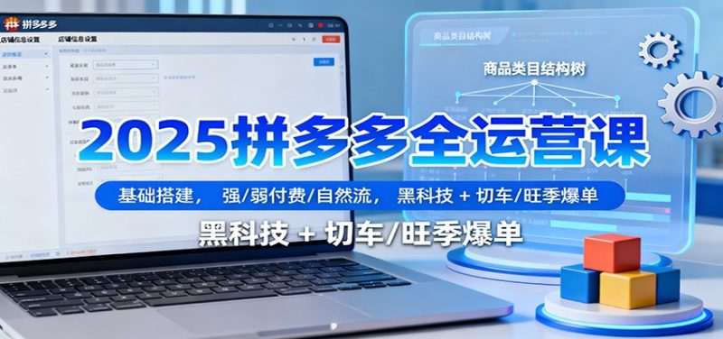 2025拼多多全运营课:基础搭建,强/弱付费/自然流,黑科技 + 切车/旺季爆单跨境课程-外贸教程-精品网课-电商运营课库课堂