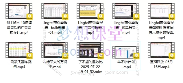 图片[3]跨境课程-外贸教程-精品网课-电商运营2025阿波罗亚马逊ppc广告必学课单！爆单广告结构&lingfei实操全解析跨境课程-外贸教程-精品网课-电商运营课库课堂