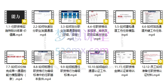 图片[3]跨境课程-外贸教程-精品网课-电商运营［C叔的HR视界］任职资格实施项目特别训练营跨境课程-外贸教程-精品网课-电商运营课库课堂