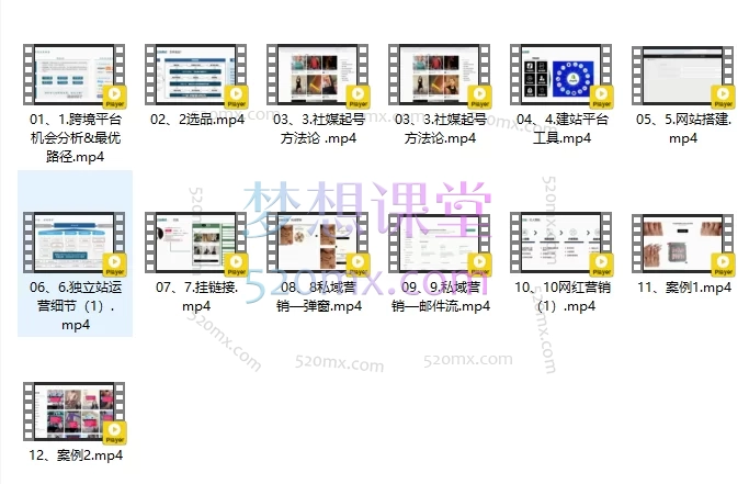 图片[4]跨境课程-外贸教程-精品网课-电商运营2025出海冒险家：社媒+独立站出海新机遇12节跨境课程-外贸教程-精品网课-电商运营课库课堂