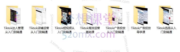 图片[2]跨境课程-外贸教程-精品网课-电商运营跨境无疆：Tiktok广告投放、选品、店铺运营、高效运营，从入门到精通合集跨境课程-外贸教程-精品网课-电商运营课库课堂