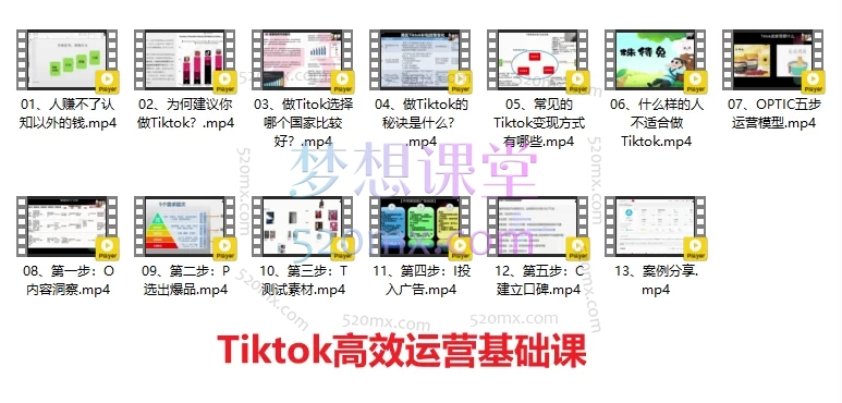 图片[4]跨境课程-外贸教程-精品网课-电商运营跨境无疆：Tiktok广告投放、选品、店铺运营、高效运营，从入门到精通合集跨境课程-外贸教程-精品网课-电商运营课库课堂