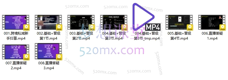 图片[3]跨境课程-外贸教程-精品网课-电商运营山姆神sam跨境私域基础+晋级精品课跨境课程-外贸教程-精品网课-电商运营课库课堂
