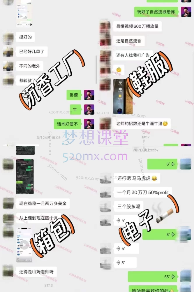 图片[6]跨境课程-外贸教程-精品网课-电商运营山姆神sam跨境私域3.0线上+AI智能客服高级课跨境课程-外贸教程-精品网课-电商运营课库课堂