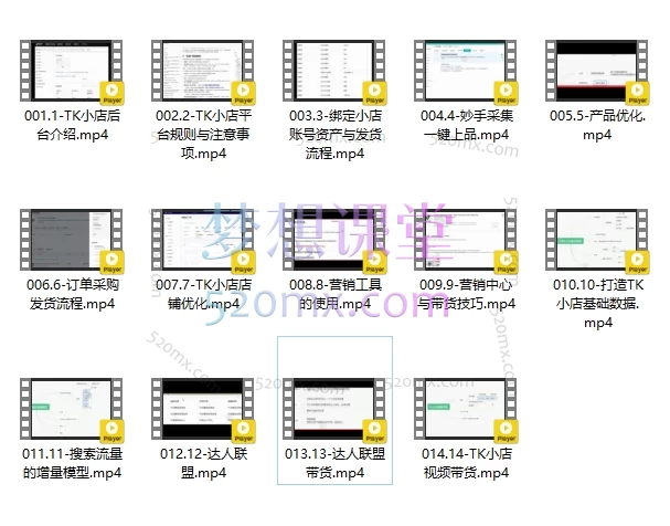 图片[3]跨境课程-外贸教程-精品网课-电商运营蕾蕾聊跨境：TikTok店铺运营从0到1学习课程跨境课程-外贸教程-精品网课-电商运营课库课堂