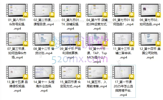 图片[3]跨境课程-外贸教程-精品网课-电商运营2025TikTok跨境电商从0到1，全域打法实操课跨境课程-外贸教程-精品网课-电商运营课库课堂