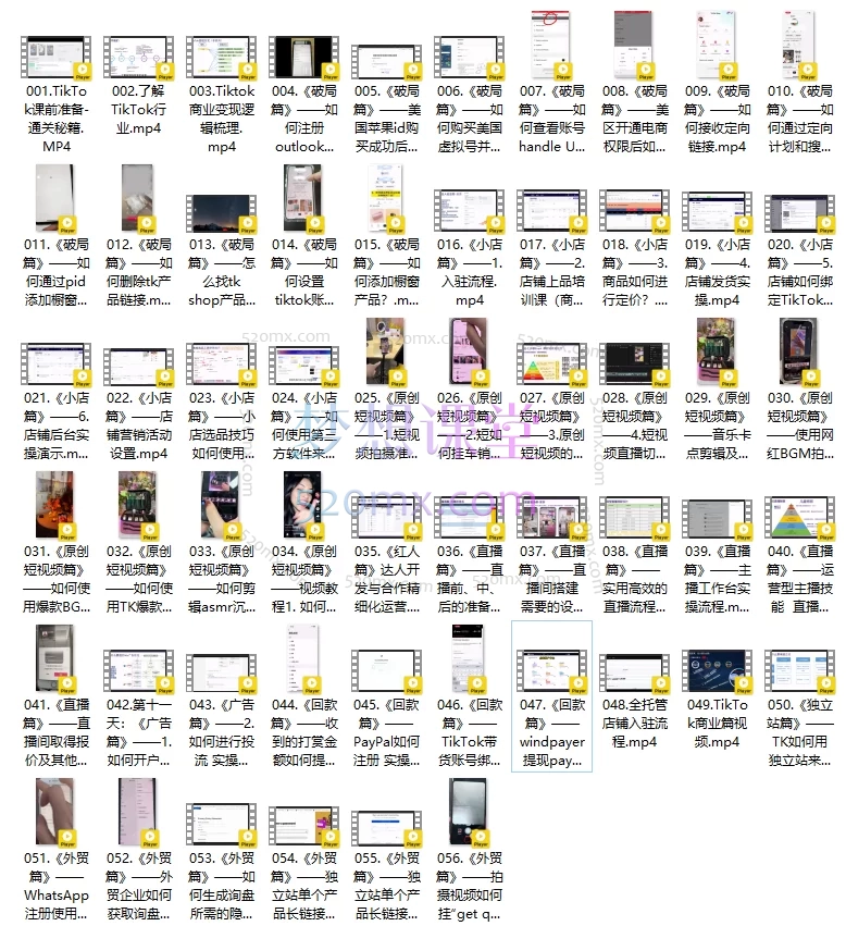 图片[3]跨境课程-外贸教程-精品网课-电商运营柚子出海TikTok出海掘金-通关秘籍，从0到1搭建与变现跨境课程-外贸教程-精品网课-电商运营课库课堂