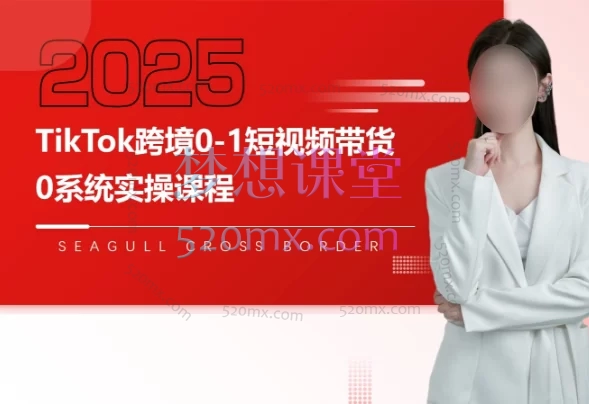 2025海鸥跨境（全套）TikTok短视频实操课0-1带货，市场运营、变现闭环、AI工具与实操技巧大全跨境课程-外贸教程-精品网课-电商运营课库课堂