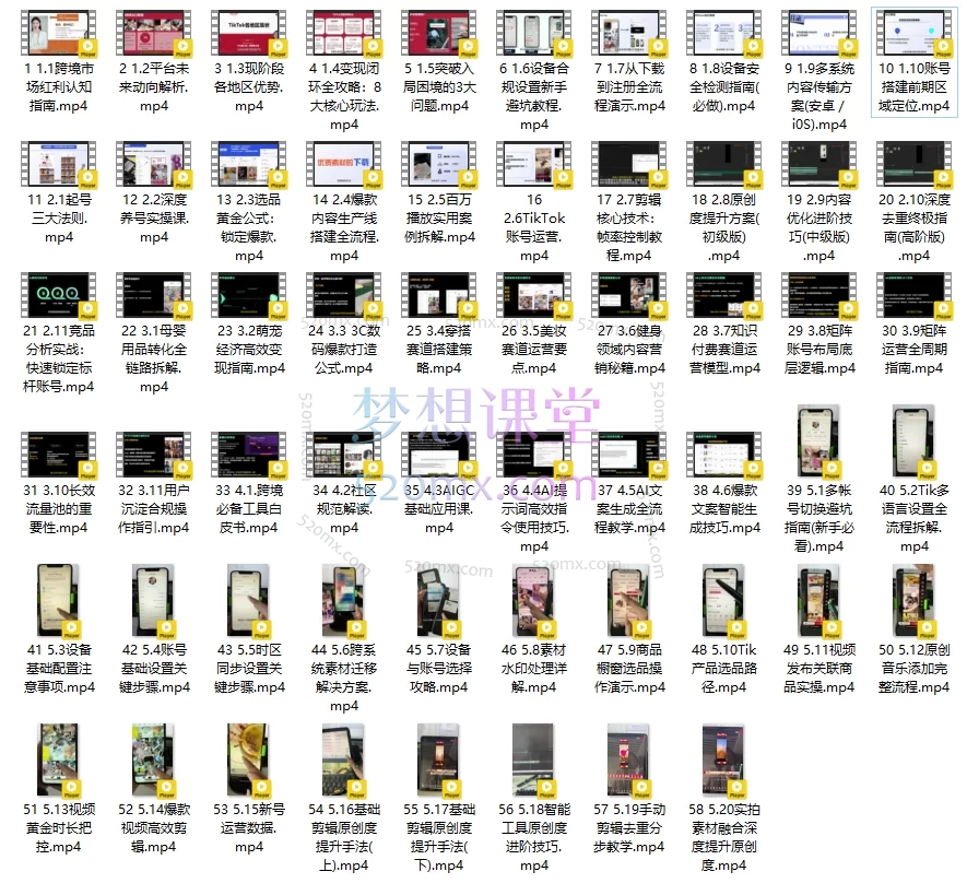 图片[3]跨境课程-外贸教程-精品网课-电商运营2025海鸥跨境（全套）TikTok短视频实操课0-1带货，市场运营、变现闭环、AI工具与实操技巧大全跨境课程-外贸教程-精品网课-电商运营课库课堂