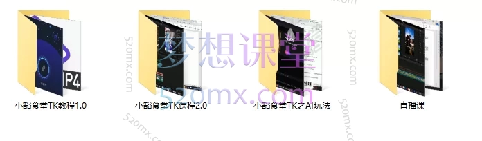 图片[3]跨境课程-外贸教程-精品网课-电商运营2025小豁食堂Tiktok中视频AI玩法陪跑课程，价值7980元跨境课程-外贸教程-精品网课-电商运营课库课堂