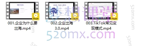 图片[3]跨境课程-外贸教程-精品网课-电商运营Richard创业投资逻辑，企业出海3.0认知实操课程跨境课程-外贸教程-精品网课-电商运营课库课堂
