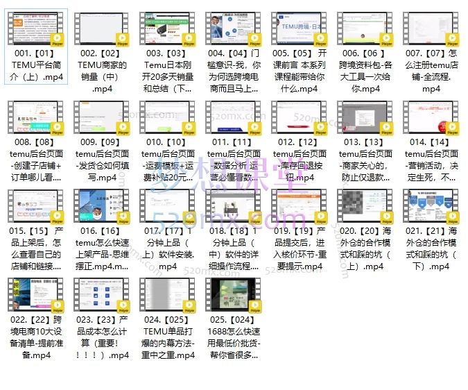 图片[3]跨境课程-外贸教程-精品网课-电商运营跨境刘叔TEMU半托管全流程(日本站)从零起步掌握TEMU运营全链路！跨境课程-外贸教程-精品网课-电商运营课库课堂