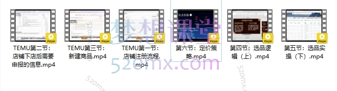 图片[3]跨境课程-外贸教程-精品网课-电商运营2025阿标跨境：TEMU卖家实战，从0到1高效出单跨境课程-外贸教程-精品网课-电商运营课库课堂