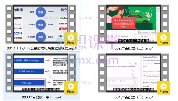 图片[3]跨境课程-外贸教程-精品网课-电商运营姜老师：独立站建站与营销，FB/INS广告投放与TikTok运营跨境课程-外贸教程-精品网课-电商运营课库课堂