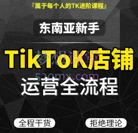 2025肥仔Tiktok东南亚店铺新手运营全流程跨境课程-外贸教程-精品网课-电商运营课库课堂