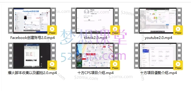 图片[3]跨境课程-外贸教程-精品网课-电商运营snail海外CPS賺錢課跨境课程-外贸教程-精品网课-电商运营课库课堂