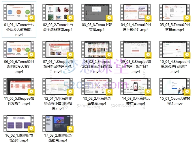图片[3]跨境课程-外贸教程-精品网课-电商运营海琳Helen五大跨境电商平台从0到1手把手教学、虾皮、tk、亚马逊、temu、ozon跨境课程-外贸教程-精品网课-电商运营课库课堂