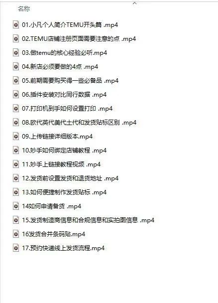 TEMU开店从0到1全流程实操课 | 新手卖家必备指南