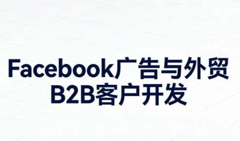 2025 Facebook 广告投放中级运营实操课程 - 低成本获取外贸订单指南跨境课程-外贸教程-精品网课-电商运营课库课堂