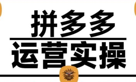 仙道电商2025拼多多运营实战课跨境课程-外贸教程-精品网课-电商运营课库课堂