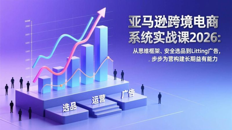 丝丝老师跨境电商亚马逊实战课：零基础到系统进阶全链路运营教程跨境课程-外贸教程-精品网课-电商运营课库课堂