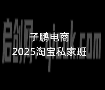 2025 子鹏讲电商淘宝私家班：新品打爆到全店动销高阶实战课程跨境课程-外贸教程-精品网课-电商运营课库课堂
