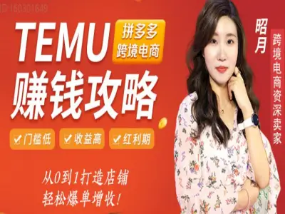 Temu 运营全攻略：趋势解读、开店入驻到爆款打造实战课程跨境课程-外贸教程-精品网课-电商运营课库课堂