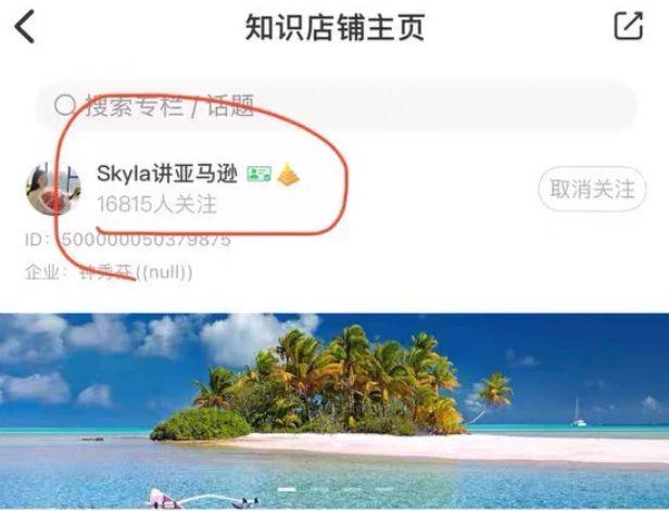 2026 Skyla讲亚马逊单课课程合集跨境课程-外贸教程-精品网课-电商运营课库课堂