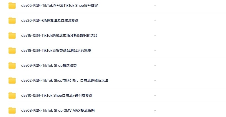 2025 高老师 TikTok 深圳跨境电商第 2 期：20 天体系化实战运营与变现课程-课库课堂