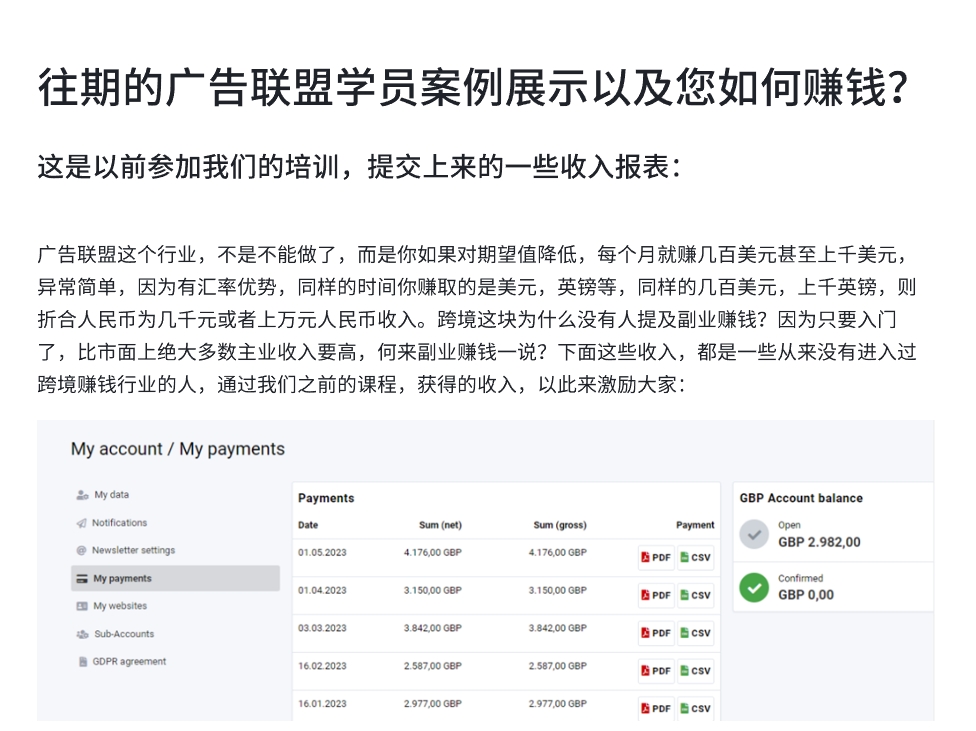 2025惰惰静水流深见知教育-广告联盟初级课程-课库课堂