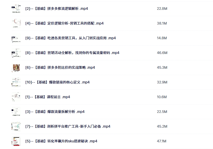 2025 大炮拼多多全阶实战课程：从入门到精通运营指南-课库课堂